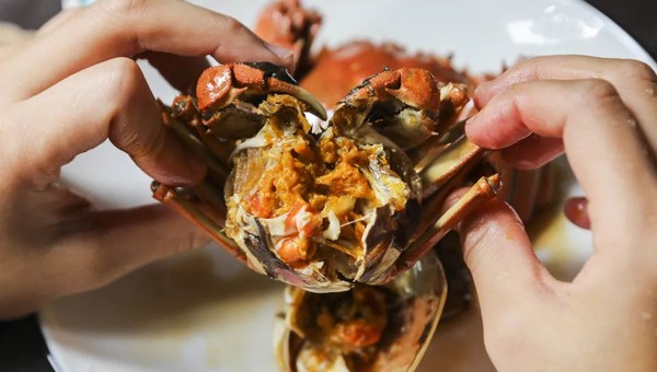 优雅吃蟹不完全指南