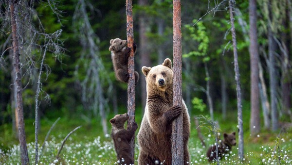 关于全球变暖你必须知道的